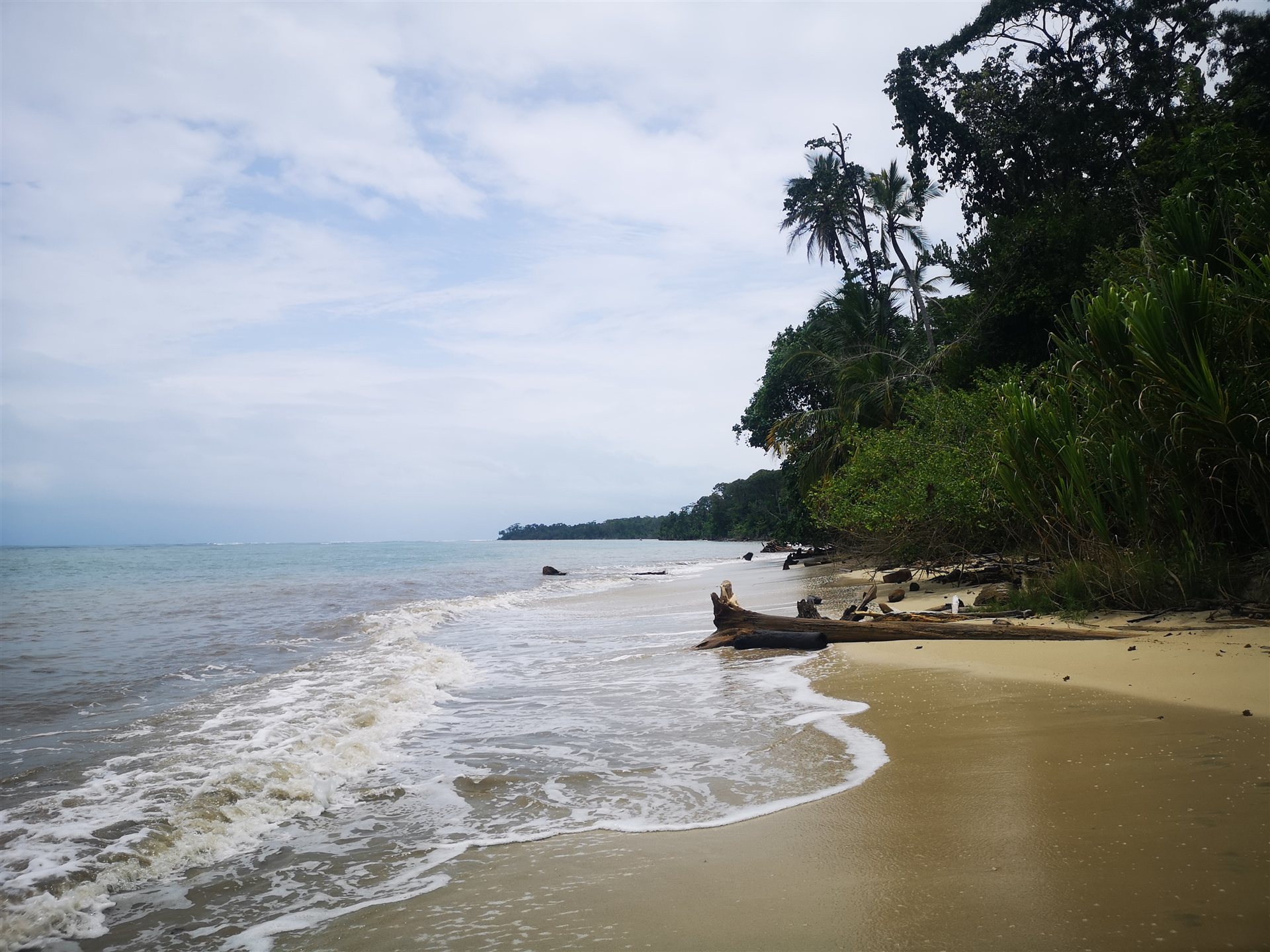 Costa Rica Regenwald